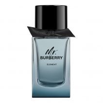 Mr. Burberry Element 