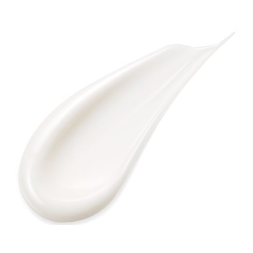 SENSAI ABSOLUTE SILK Iluminative švytėjimo suteikiantis