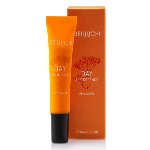 Day Age Defence