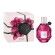  Flowerbomb Ruby Orchid EDP