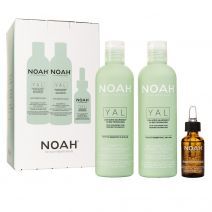 YAL Restorative Hair Set 