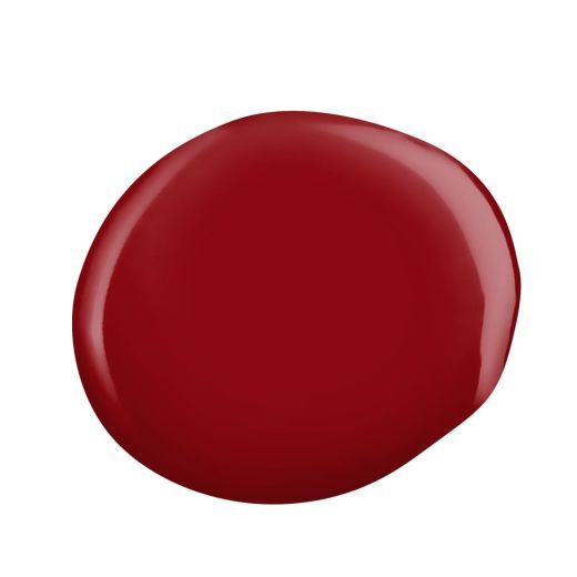 Professional Nail Polish