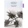 Rawquest Milk Thistle Brightening SPA juoda kaukė 28 ml (1 vnt.) 
