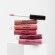 Sleeks Cream Lip Paint