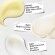 Kiehl's Anti-Aging Preparations Limited-Edition Se
