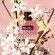 Born In Roma Donna EDP