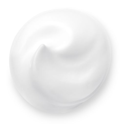 SENSAI ABSOLUTE SILK PUTŲ PAVIDALO VEIDO PRAUSIKLIS 