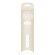 The Powder Brush