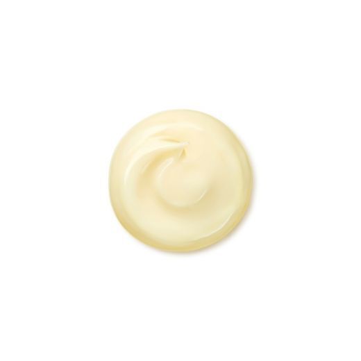 SHISEIDO Benefiance Wrinkle Smoothing Cream Enriched Jauninamasis veido kremas sausai odai
