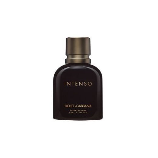 DOLCE&GABBANA Pour Homme Intenso Parfumuotas vanduo (EDP)