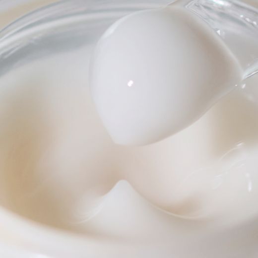 SENSAI ABSOLUTE SILK Iluminative švytėjimo suteikiantis