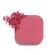 Cheeks&Eyes Match Lasting Blush & Eyeshadow Powder