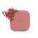 Cheeks&Eyes Match Lasting Blush & Eyeshadow Powder