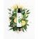 Green Tea & Lemon Perfumed Lotion