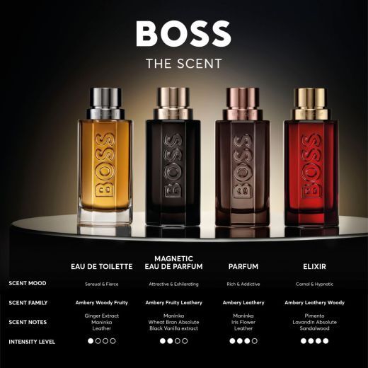 Boss The Scent Magnetic For Him