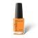 Rejoice Solar Gel Polish Nr. 614 Presence