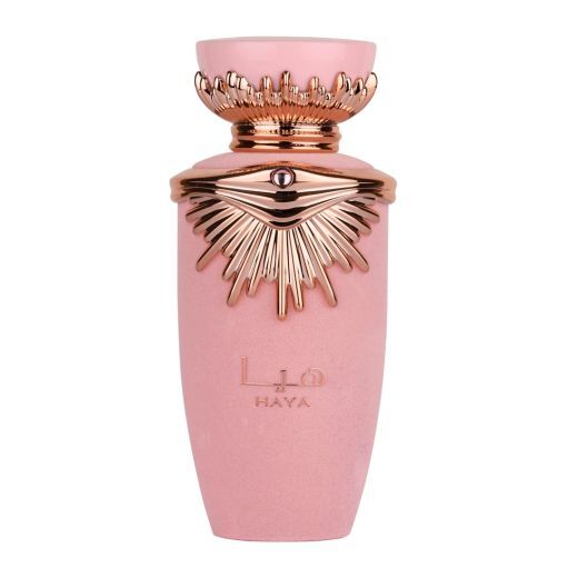 HAYA EDP
