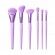 Ultralavender 6-Piece Face & Eye Brush Set Limited Edition