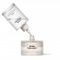 Born Dreamer by Charli D'amelio 75 ml - Refill