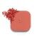 Cheeks&Eyes Match Lasting Blush & Eyeshadow Powder