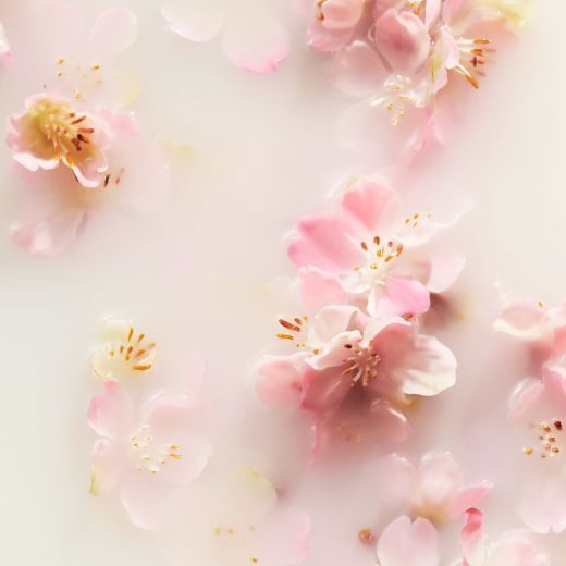 The Ritual of Sakura Luxury Home Set