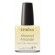 Almond Cuticle Oil