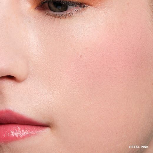 Pot Rouge Velvet Matte Petal Pink