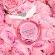 Mademoiselle Rochas in Paris EDP