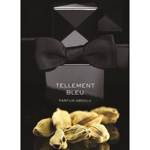 ALEX SIMONE Tellement Bleu Parfumuotas vanduo (EDP)