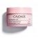 Resveratrol—Lift Firming Night Cream