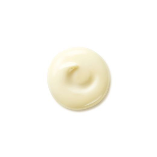 SHISEIDO Benefiance Wrinkle Smoothing Day Cream SPF 25 Jauninamasis dieninis veido kremas