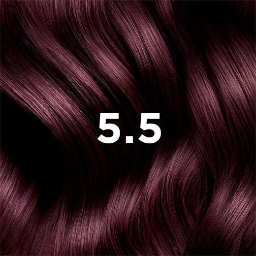 Phyto Color Hair Nr. 5.5 Light Mahogany Brown