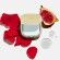 Fig Skin Perfector Shine Control Blurring Powder