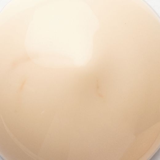 Nordic Bloom Lumo Vitality Anti-Wrinkle & Revitalize Oil Serum