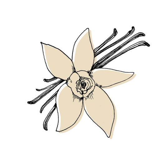 ATELIER COLOGNE Vanille Insensée Kvepalai