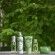 Eau de Campagne Moisturizing Body Lotion