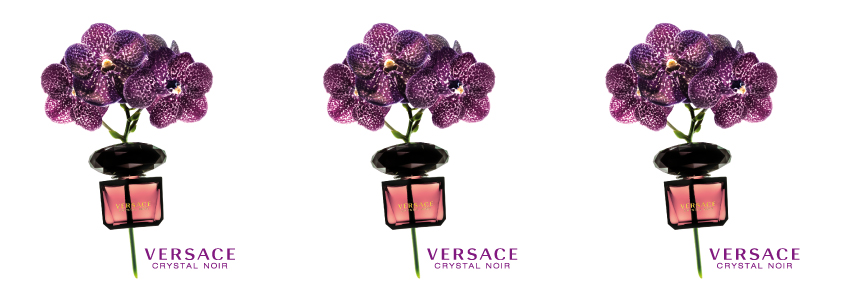 Versace Crystal Noir