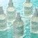 Coconut Body Oil