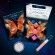 Fate: The Winx Saga Lip Gloss Limited Edition