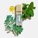 Mint Oil Lip Plumper Flash Plumping* Lip Oil