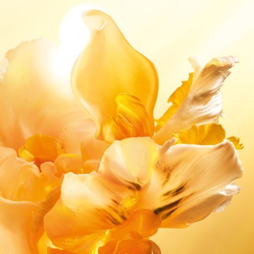 J'Adore Eau de Parfum Roller-Pearl
