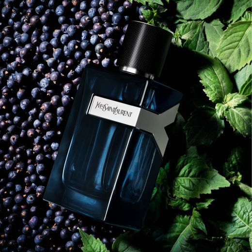 YVES SAINT LAURENT Y Parfum Intense Parfumuotas vanduo (EDP)