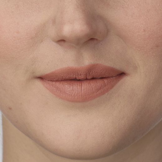 Perfect Moisture Lipstick