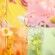 CHANCE EAU TENDRE EDT