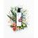 Fig & Violet Perfumed Lotion W