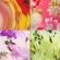 CHANCE EAU TENDRE EDP