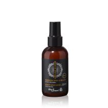 Argan Elisir Beauty Spray Mask For All Hair Types