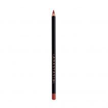 Lip Liner Auburn