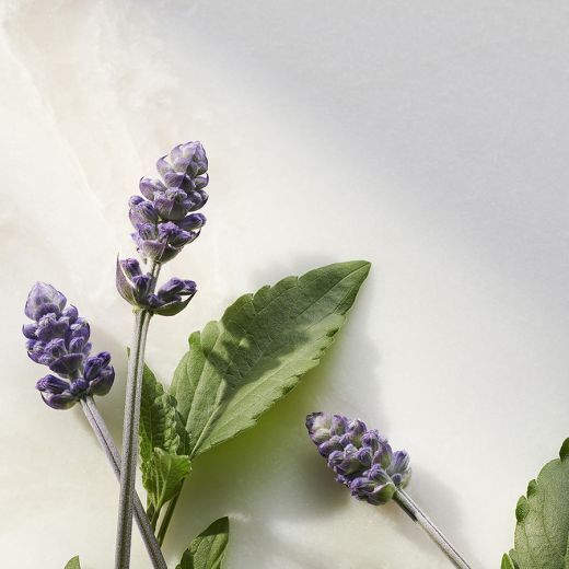 The Ritual of Namaste Bakuchiol Natural Booster