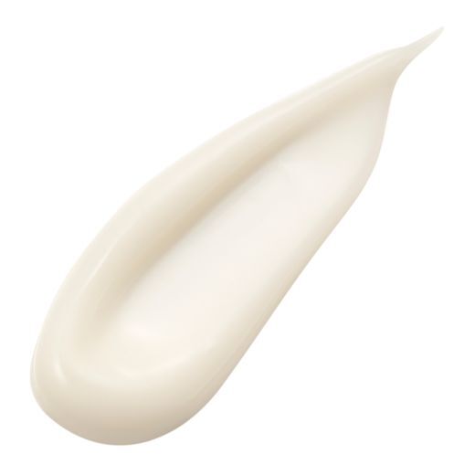 SENSAI ABSOLUTE SILK CREAM